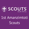 1st Toti Scouts