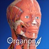 Icon 3D Organon Anatomy Enterprise