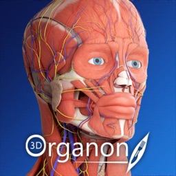 3D Organon Anatomy Enterprise