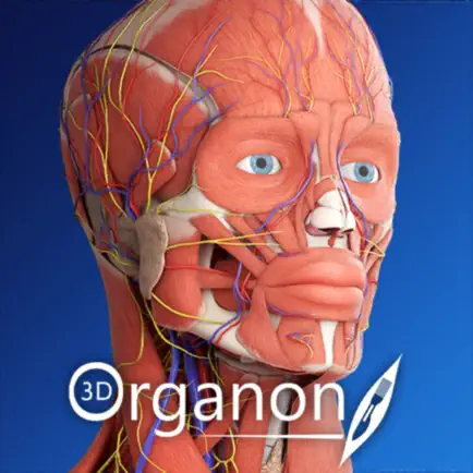 3D Organon Anatomy Enterprise Cheats