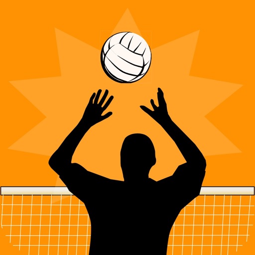 Volleyball Player Game Stats icon