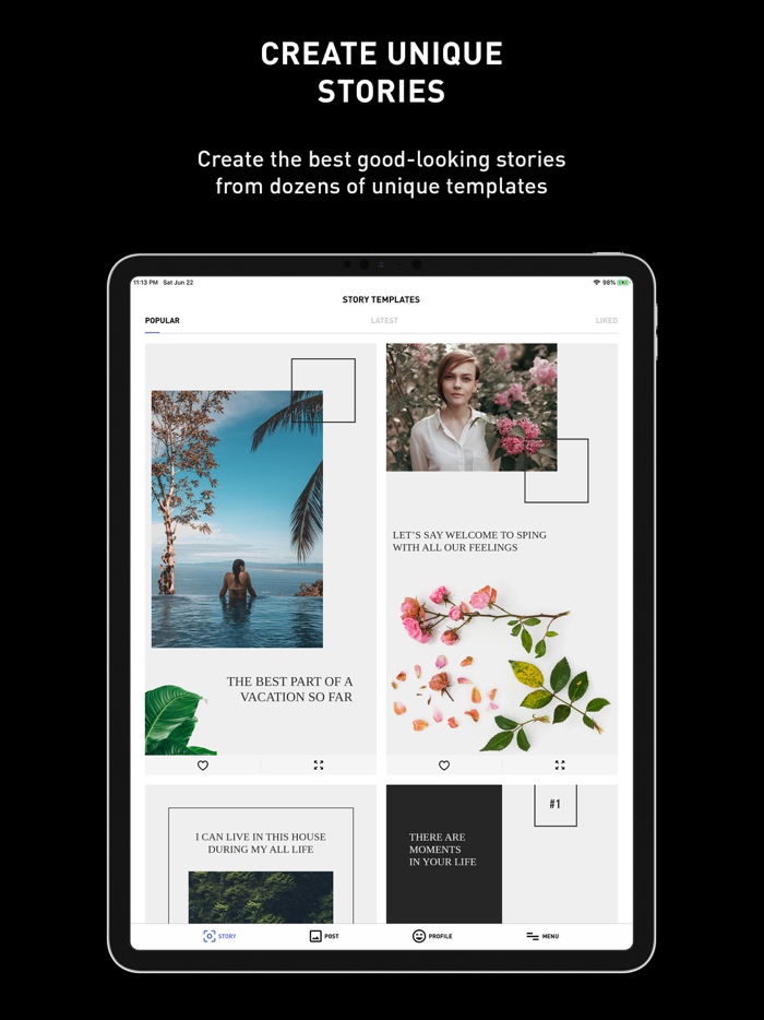 Lavila - Post and Story Editor