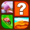 Picture Quiz - HD icon