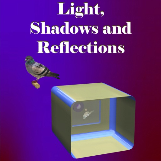 Light, Shadows and Reflections icon