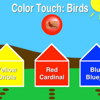 Color Touch Birds
