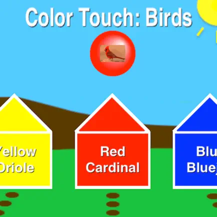 Color Touch: Birds Читы