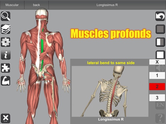 Screenshot #6 pour 3D Anatomy