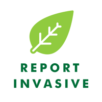 Report Invasive Plants