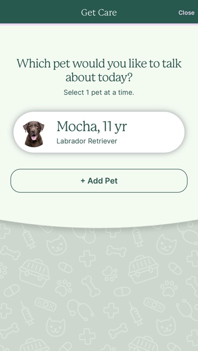 Mascotte Health Screenshot