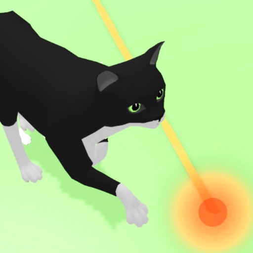 Laserpoint Cat