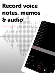dictaphone - audio recorder ipad images 1