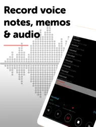 Dictaphone - Audio Recorder ipad bilder 0