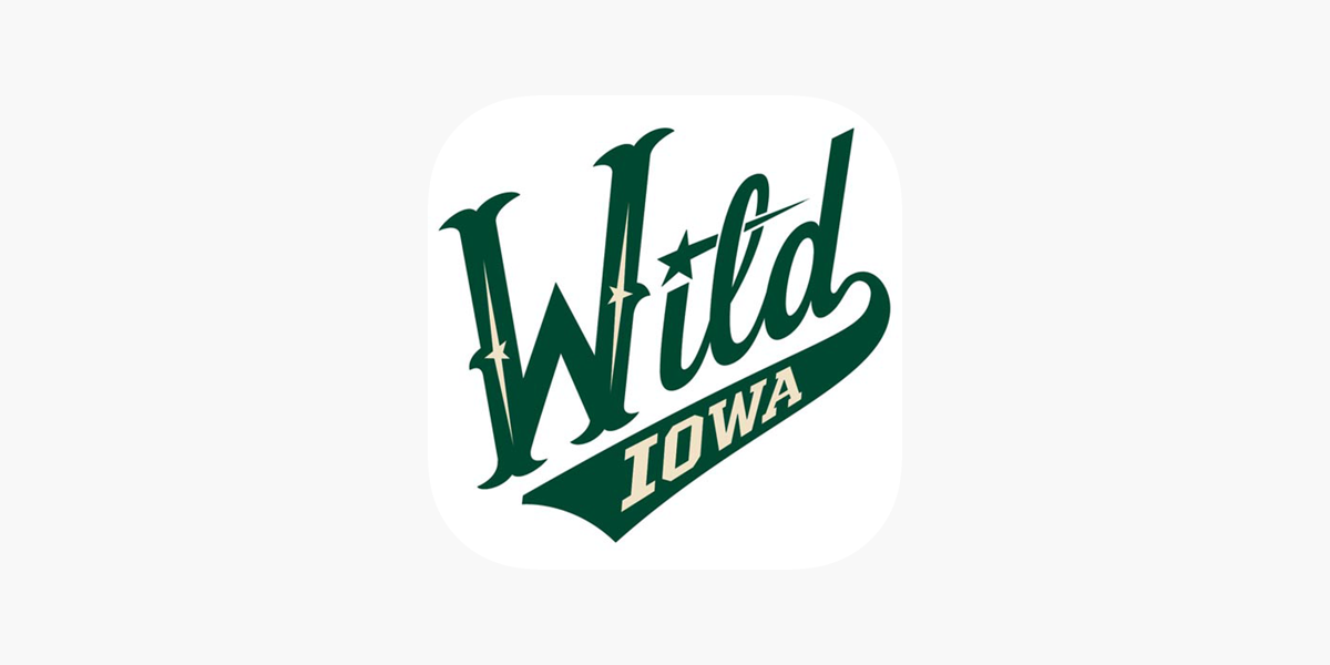 Nhl Minnesota Wild Distressed Logo Cutout Sign : Target