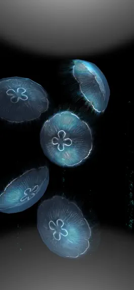 Game screenshot JellyfishGO -  Appreciation apk