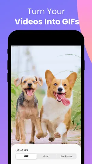 Screenshot von Convert: GIF Maker & Wallpaper auf dem iPhone 2