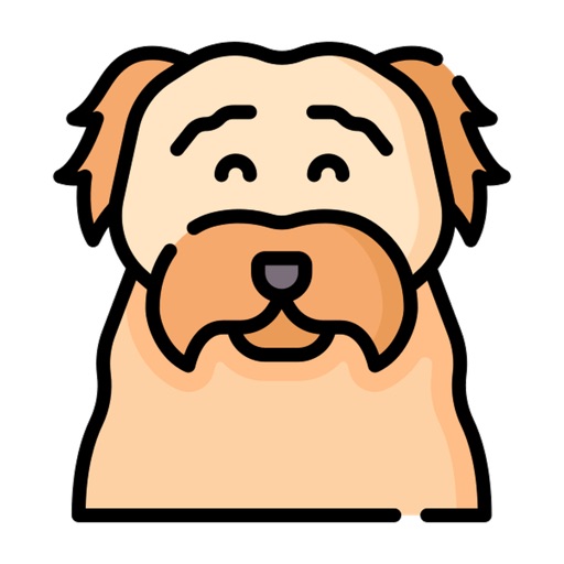 Havanese Stickers icon