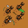 Beetle Frenzy