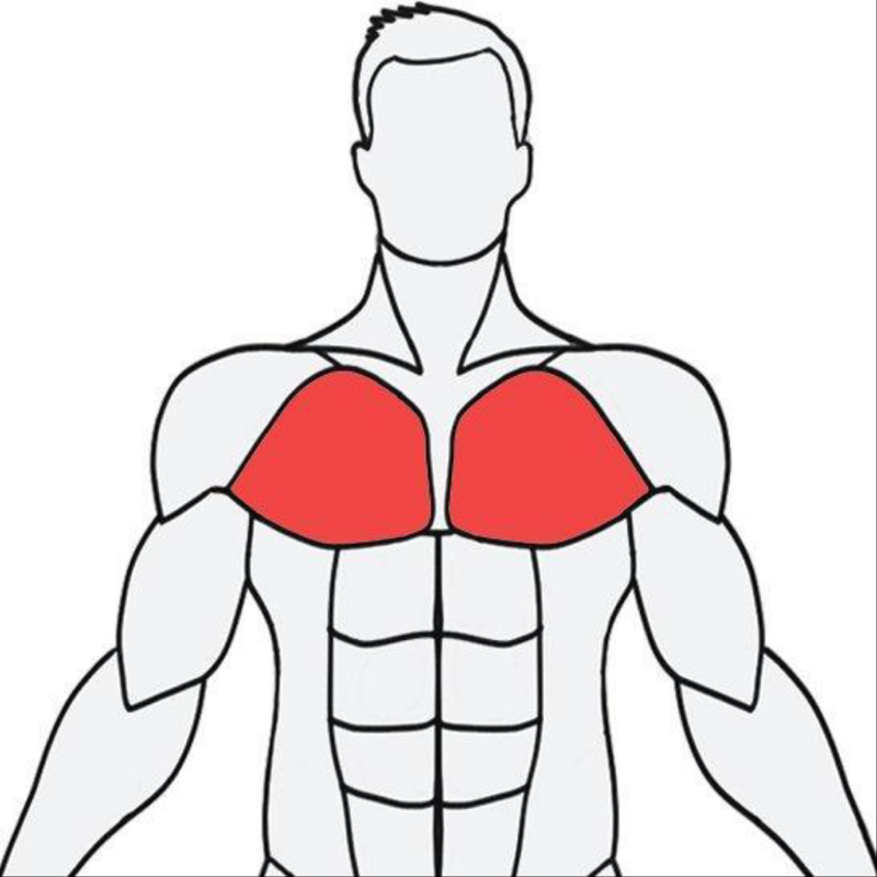 MuscleWiki App