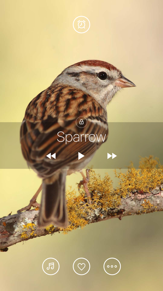 Bird Sounds, Listen & Relax - 1.8 - (iOS)