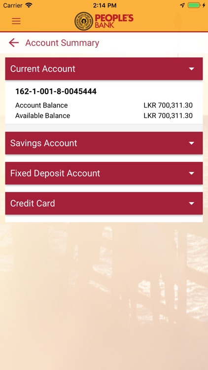 People’s Wave screenshot-3