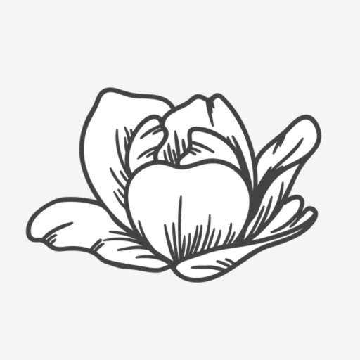 Сеть цветочных «Твой букет» icon