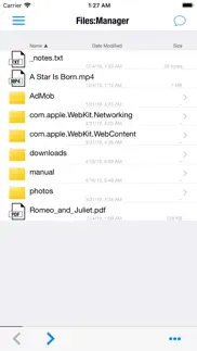 Файловый менеджер app айфон картинки 1