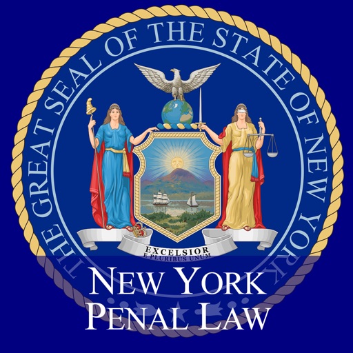 NY Penal Law 2024 Guide