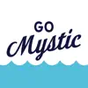 Go Mystic problems & troubleshooting and solutions