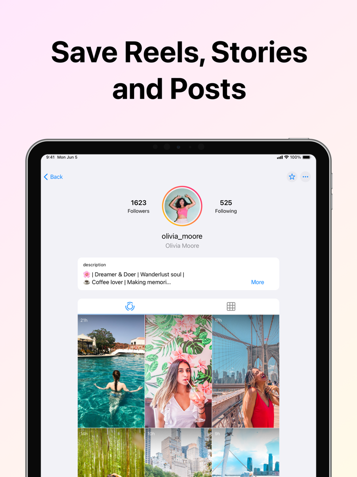 Story Viewer and Saver - InLook