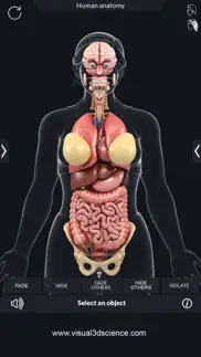 organs anatomy iphone resimleri 1