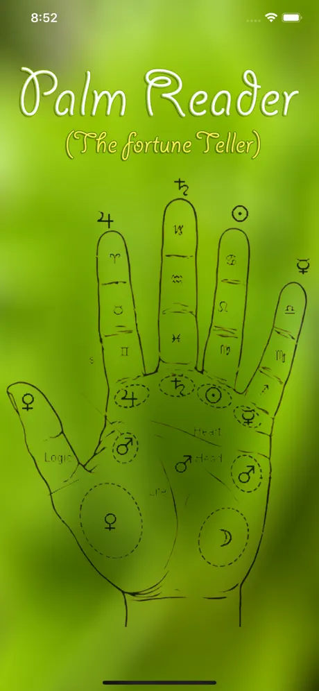 PALM READER The Fortune Teller