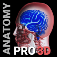 3D Human Anatomy Pro