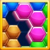 Hexa Puzzle - Blocks Game icon