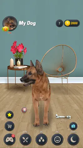 Game screenshot My Dog (Dog Simulator) mod apk
