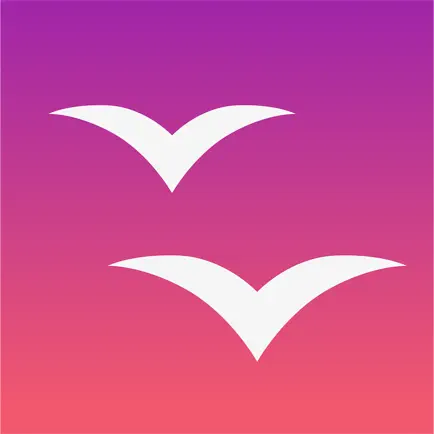 TodToli Читы