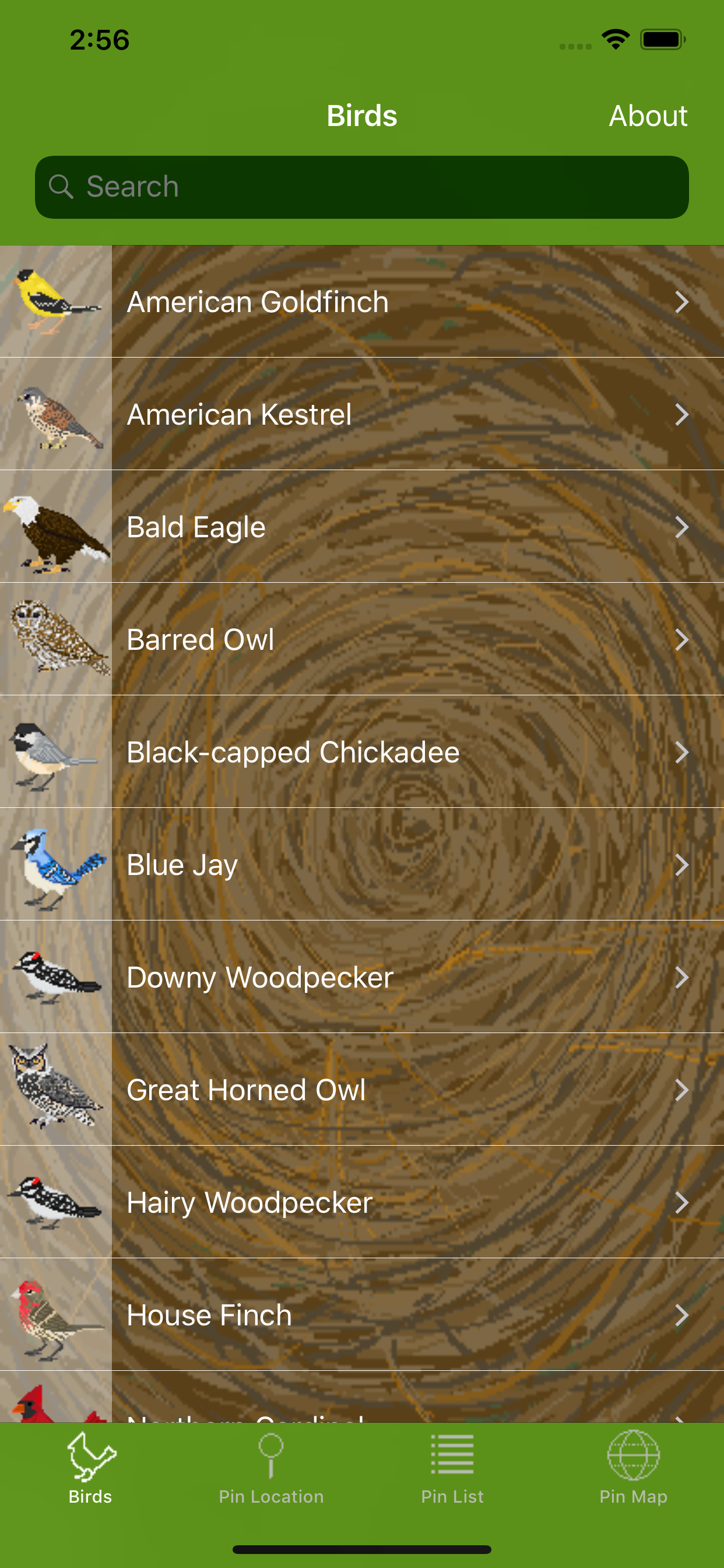 Word of the Bird