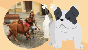 Dog Photo Frame screenshot 4
