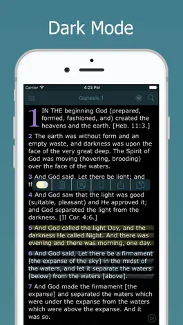 Game screenshot Amplified Bible with Audio hack