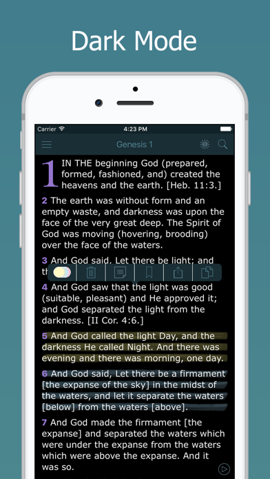 Amplified Bible with Audio Screenshot