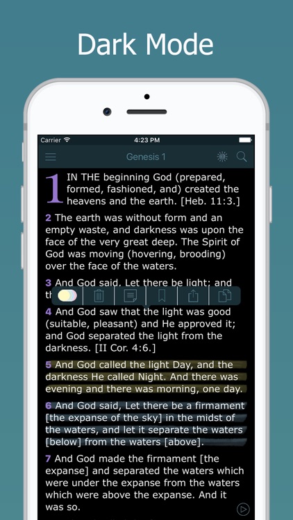 Amplified Bible with Audio