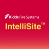 IntelliSite™ icon