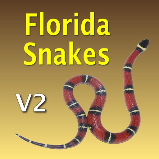 Florida Snakes