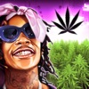 Wiz Khalifa's Weed Farm biểu tượng