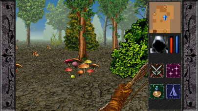 The Quest Classic - HOL Screenshot