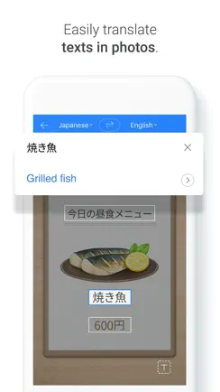 Naver Papago - AI Translator iPhone image 4