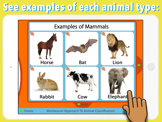 Animal Kingdom (Vertebrates) iPad screenshot