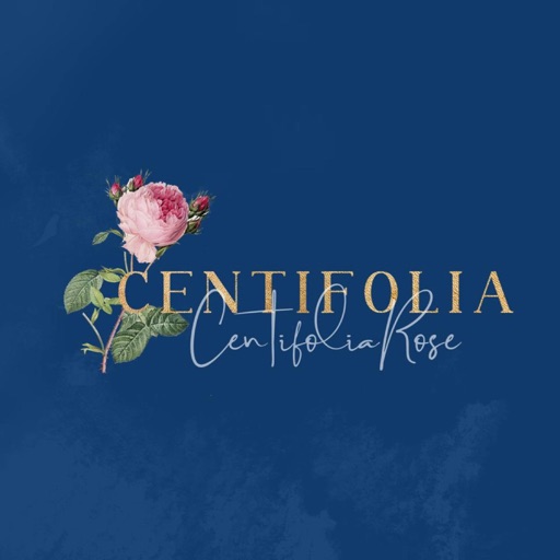 Centifolia Rose icon