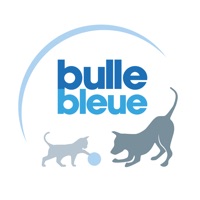  Bulle Bleue Application Similaire