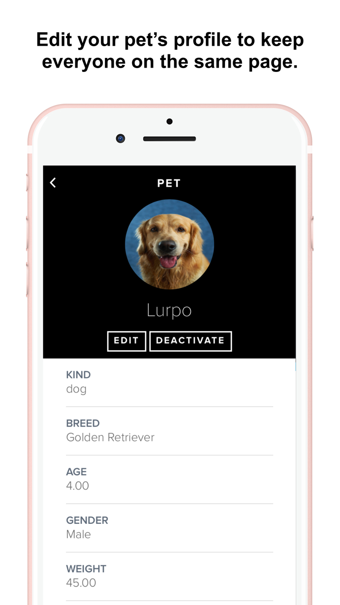 From the Comfort of Home