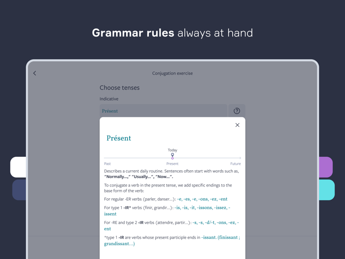 Lingvist Learn Languages Fast